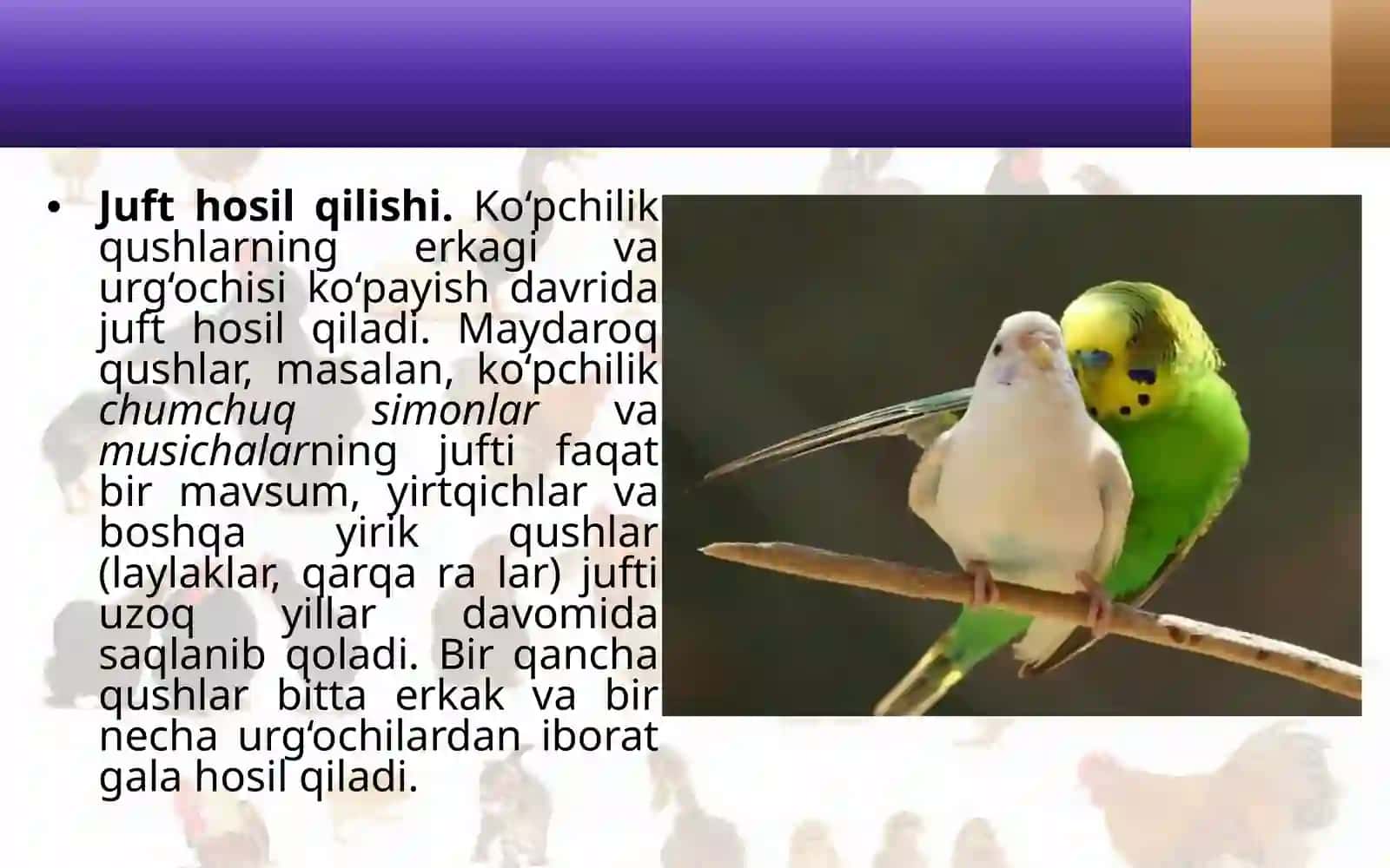 Qushlar ko‘payishi, rivojlanishi va kelib chiqishi 3