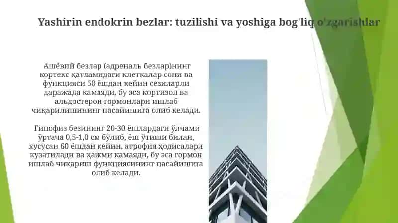 Yashirin endokrin bezlar: tuzilishi va yoshiga bog'liq o'zgarishlar 3