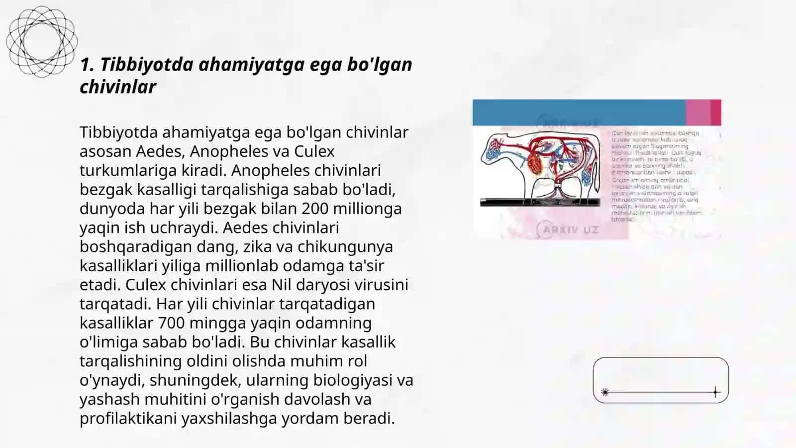 Zaharli hayvonlar Aʼzolar sistemasi ontofilogenezi 3