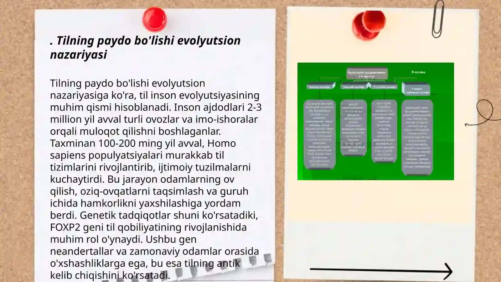Tilning paydo bo'lishi to'g'risidagi asosiy nazariyalar 3