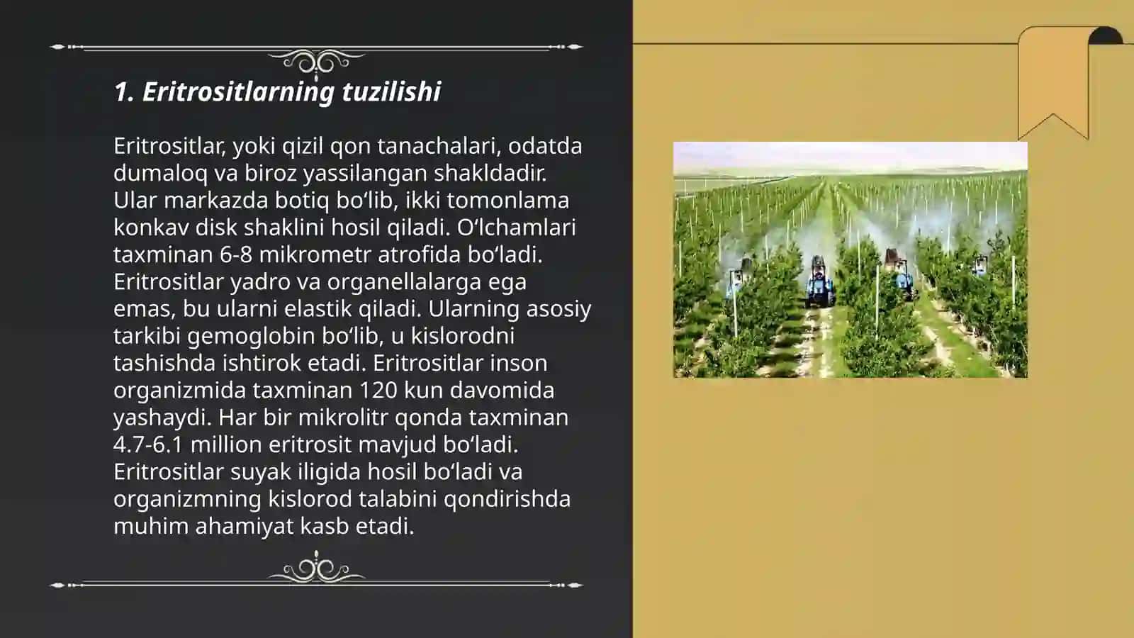 Eritrotsitlar turlari,Funksiyalari,Gemoglabin va uning turlari 3
