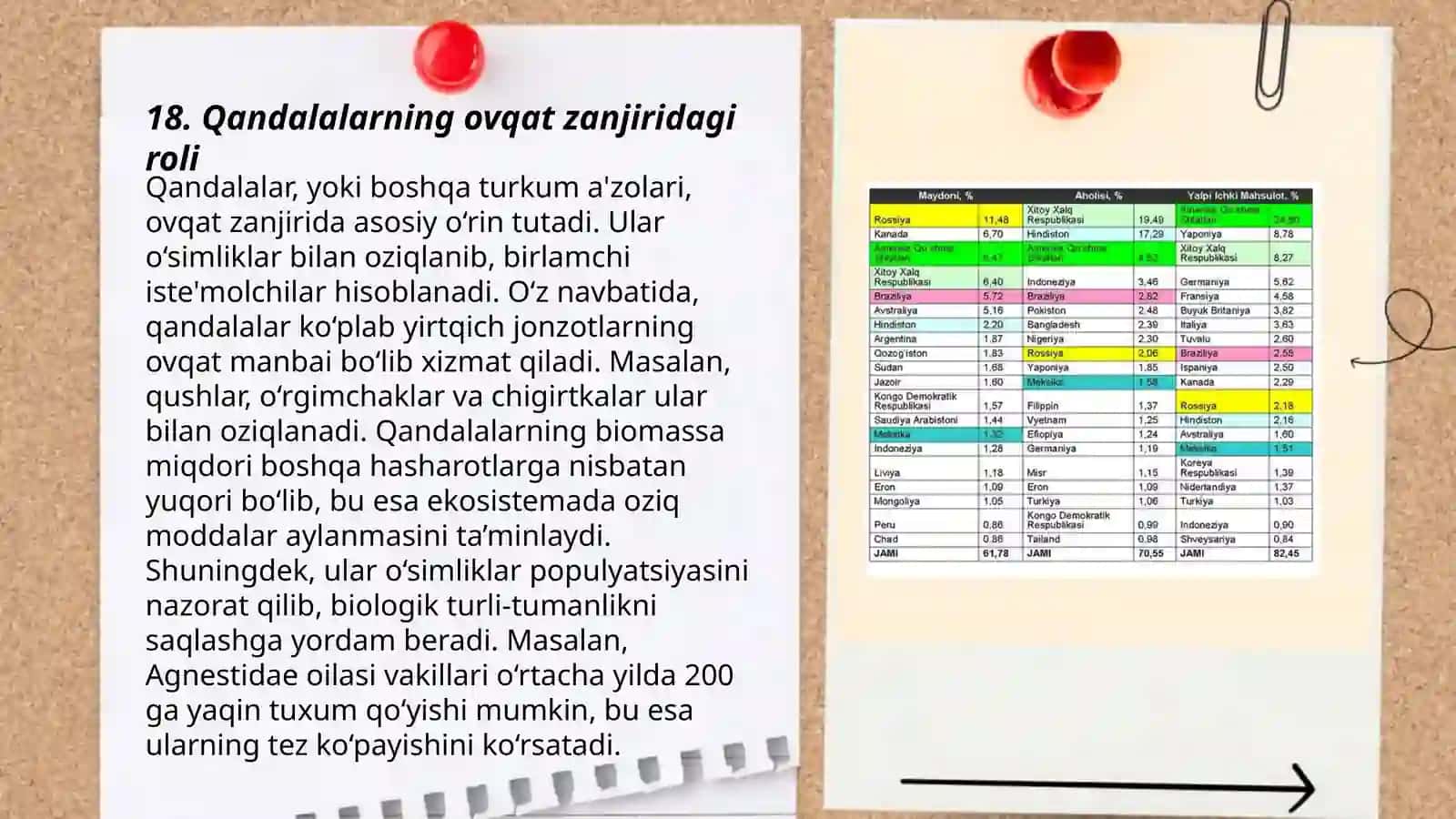 Qo'ng'izlarning Biologiyasi 3