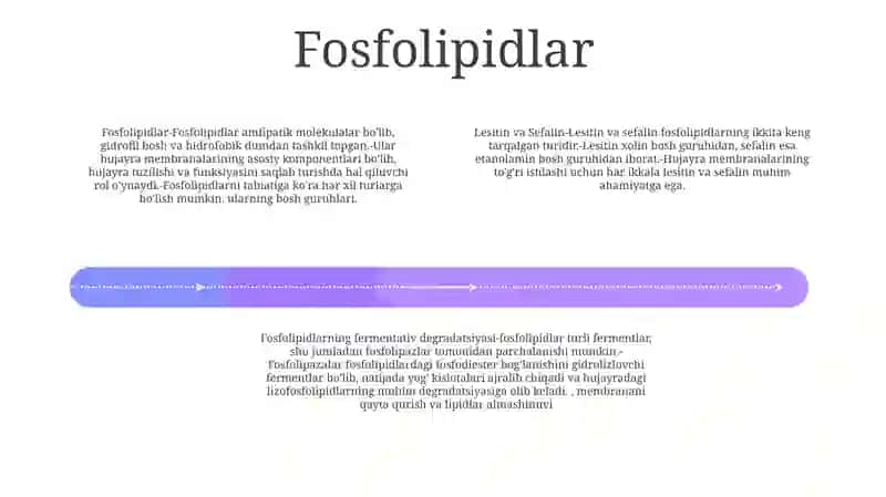 Fosfolipidlar.Litsetinlar Va Kefalinlar Fermentlar Ta'Sirida O'Zgarishi 3