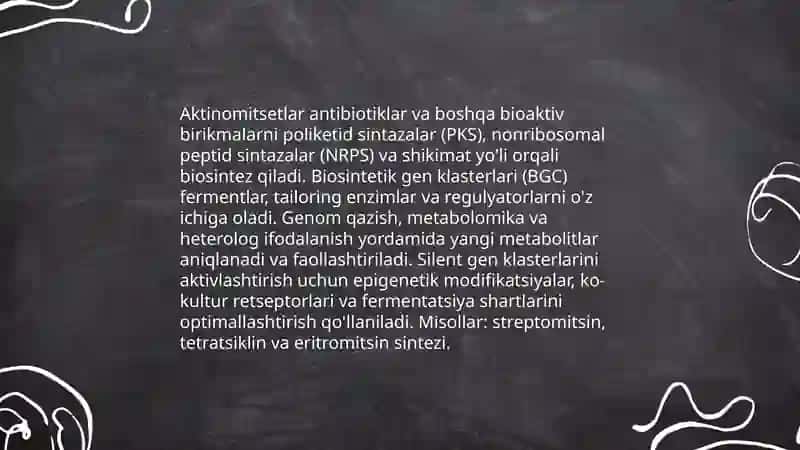 Aktinomitsetlar va ularga yaqin organizmlarni o'rganish 3