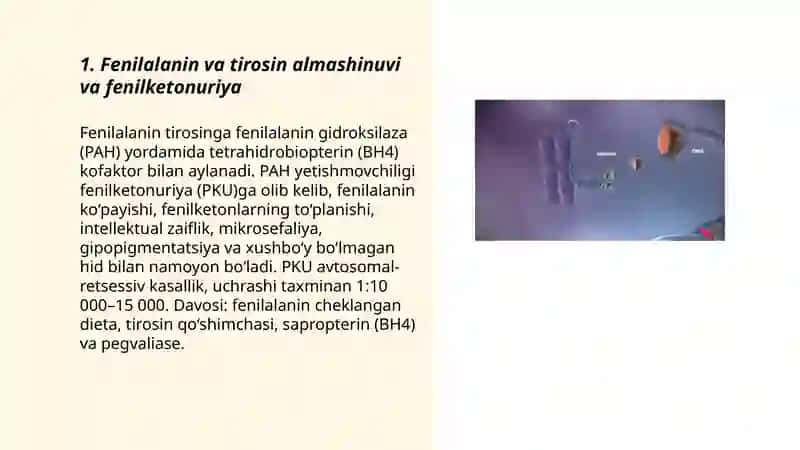 Ayrim aminokislotalar almashinuvining oziga xosligi 3