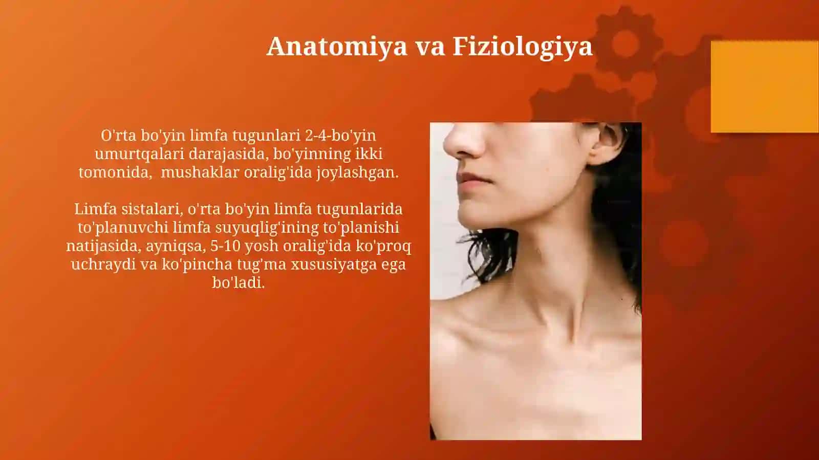 O'rta bo'yin limfa tugunlari va kistalari 3