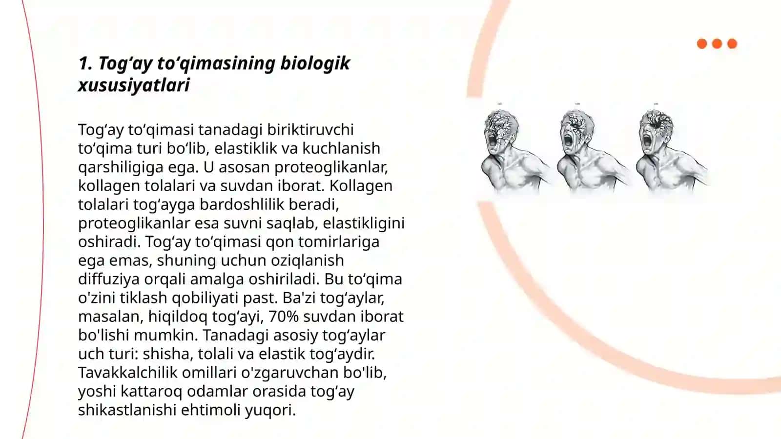 Togʻay toʻqimasining regeneratsiyasi va transplantatsiyasi 3