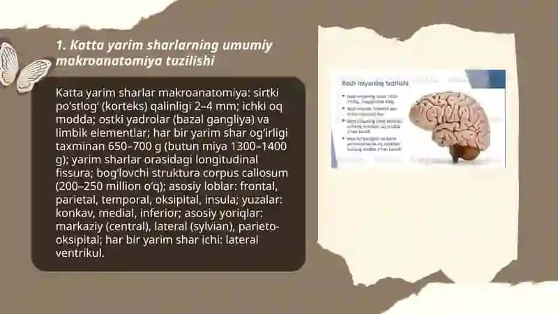 Katta yarim sharlarning tuzilishi 3