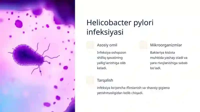 Oshqozon yara kasalligi etiopatogenezi: Kirish 3