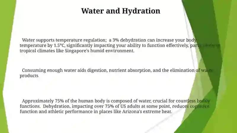 Food Nutrition 3