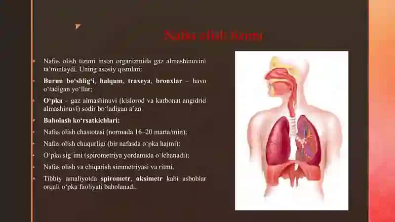 NAFAS OLISH VA QON AYLANISH A'ZOLARI TIZIMINI BAHOLASH 3