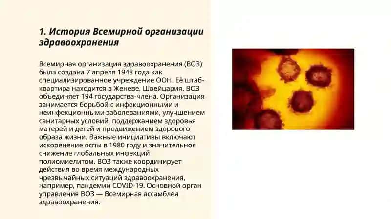 Всемирная организация здравоохранения 3
