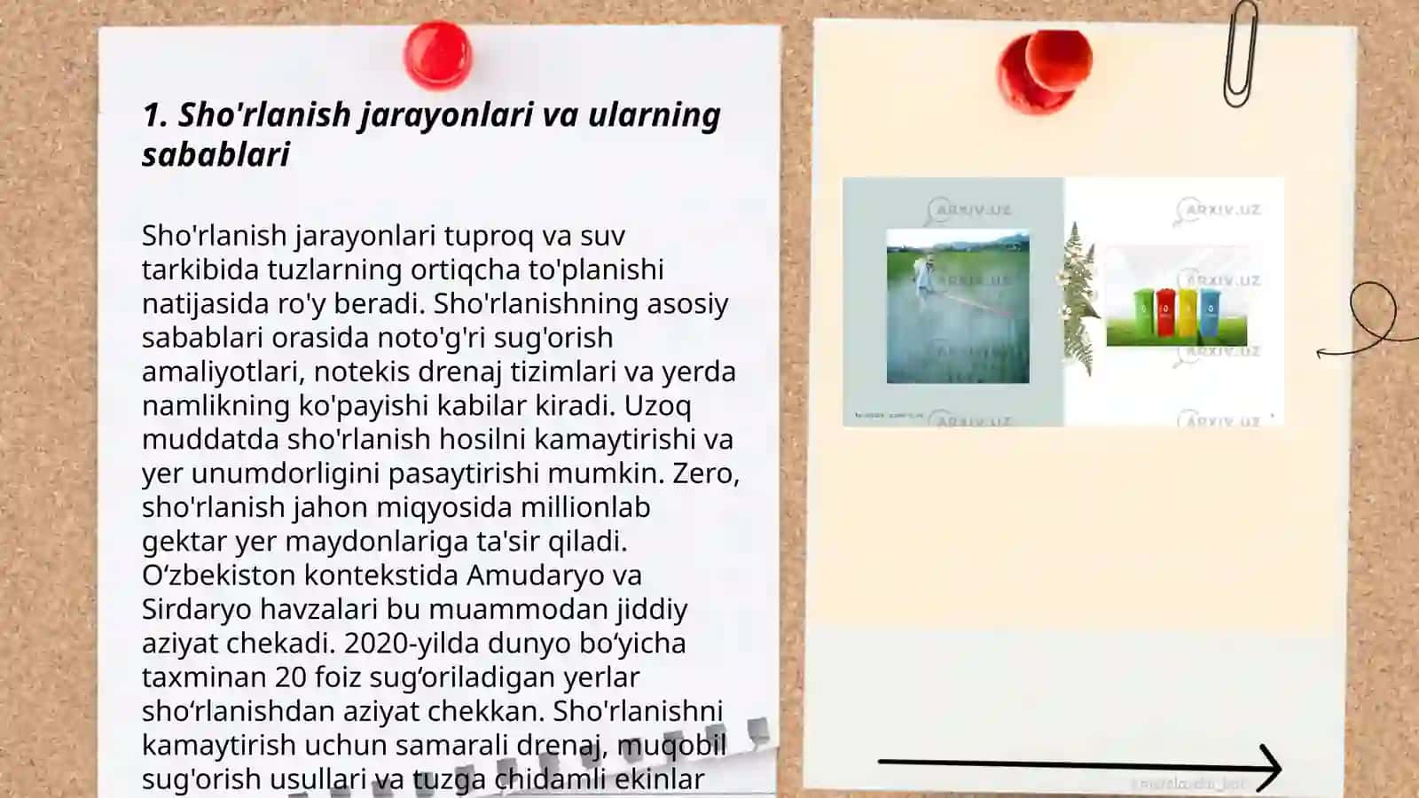 Sho’rlanish, cho’llanish muammolari va atrof-muhit muhofazasi 3