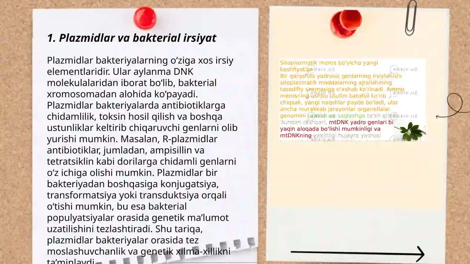 Mikroorganizmlarning genetikasi va o'zgaruvchanligi 3