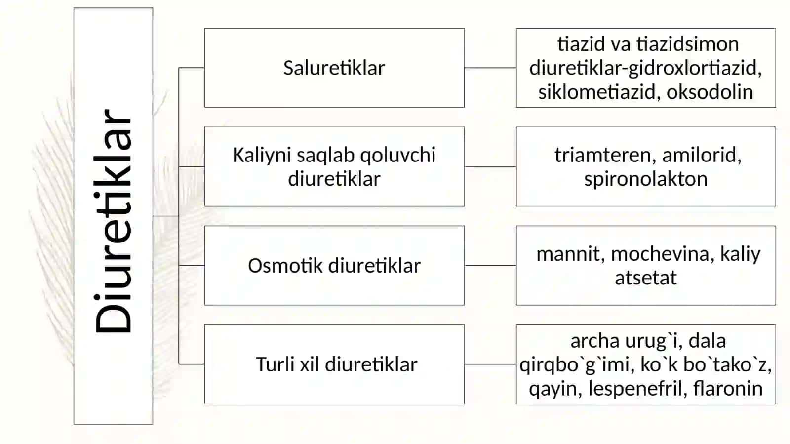 Buyrak kasalliklarini davolashda ishlatiladigan dori vositalar xarakteristikasi 3
