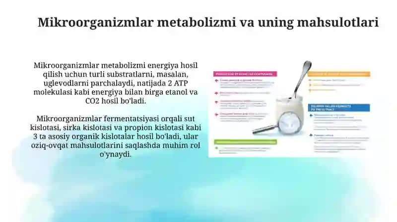 Mikroorganizmlarning hayot faoliyatida ishlab chiqaradigan mahsulotlari 3