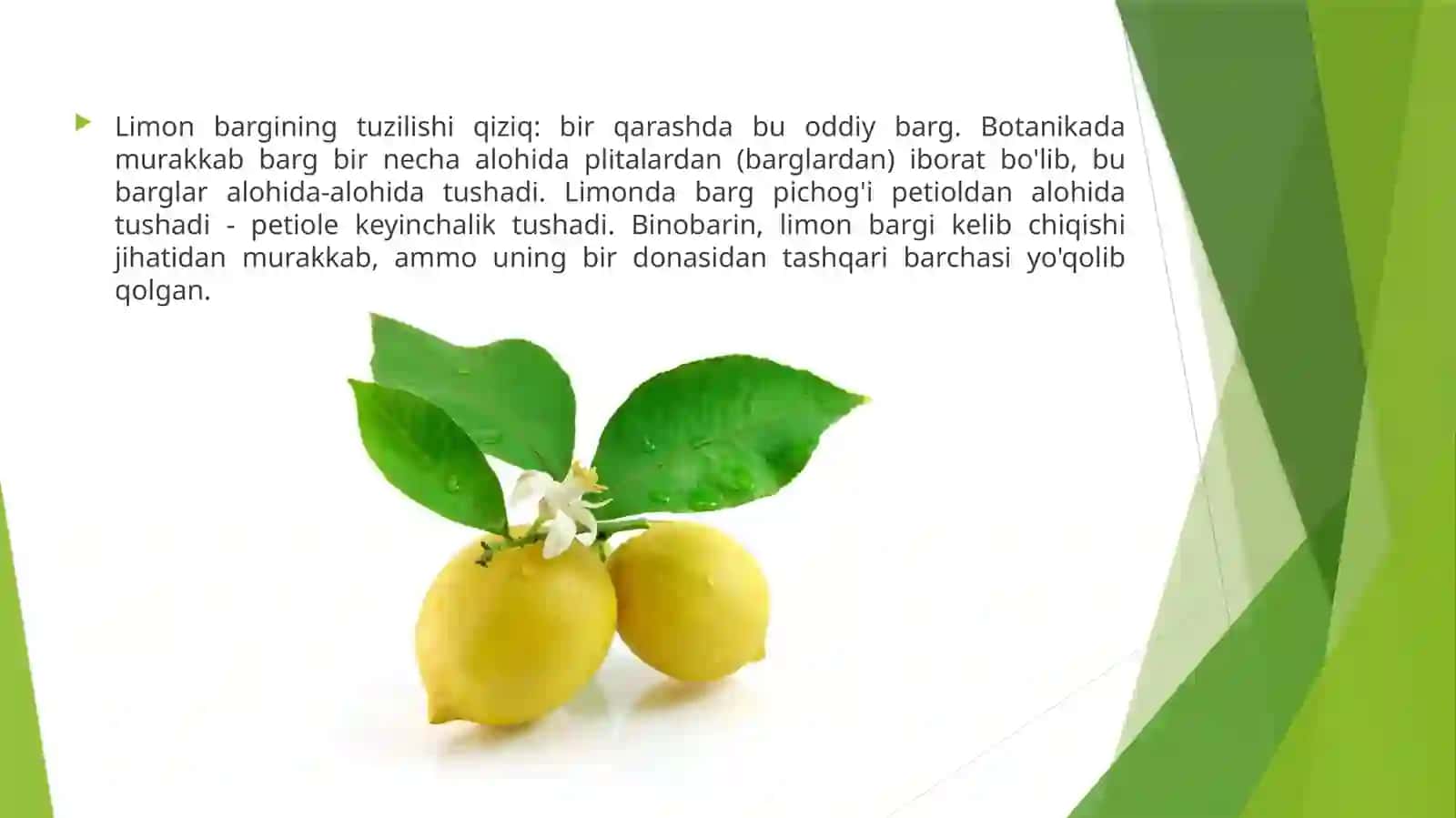 Limonkassaliklar va ularga qarshi kurash 3