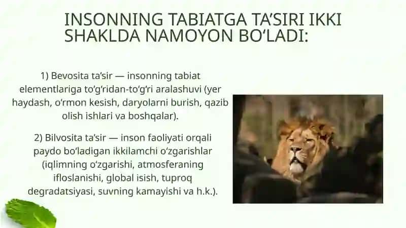 Insonning tabiatga, uning komponentlari va elementlariga bevosit ta’siri 3