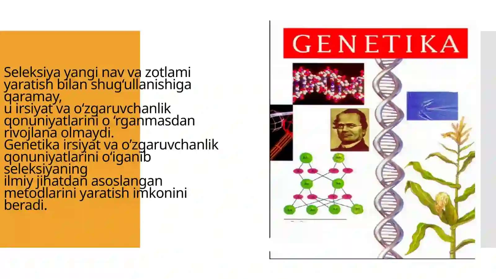 Genetikaning nazariy va amaliy hamiayti, DNK replikatsiyasi 3