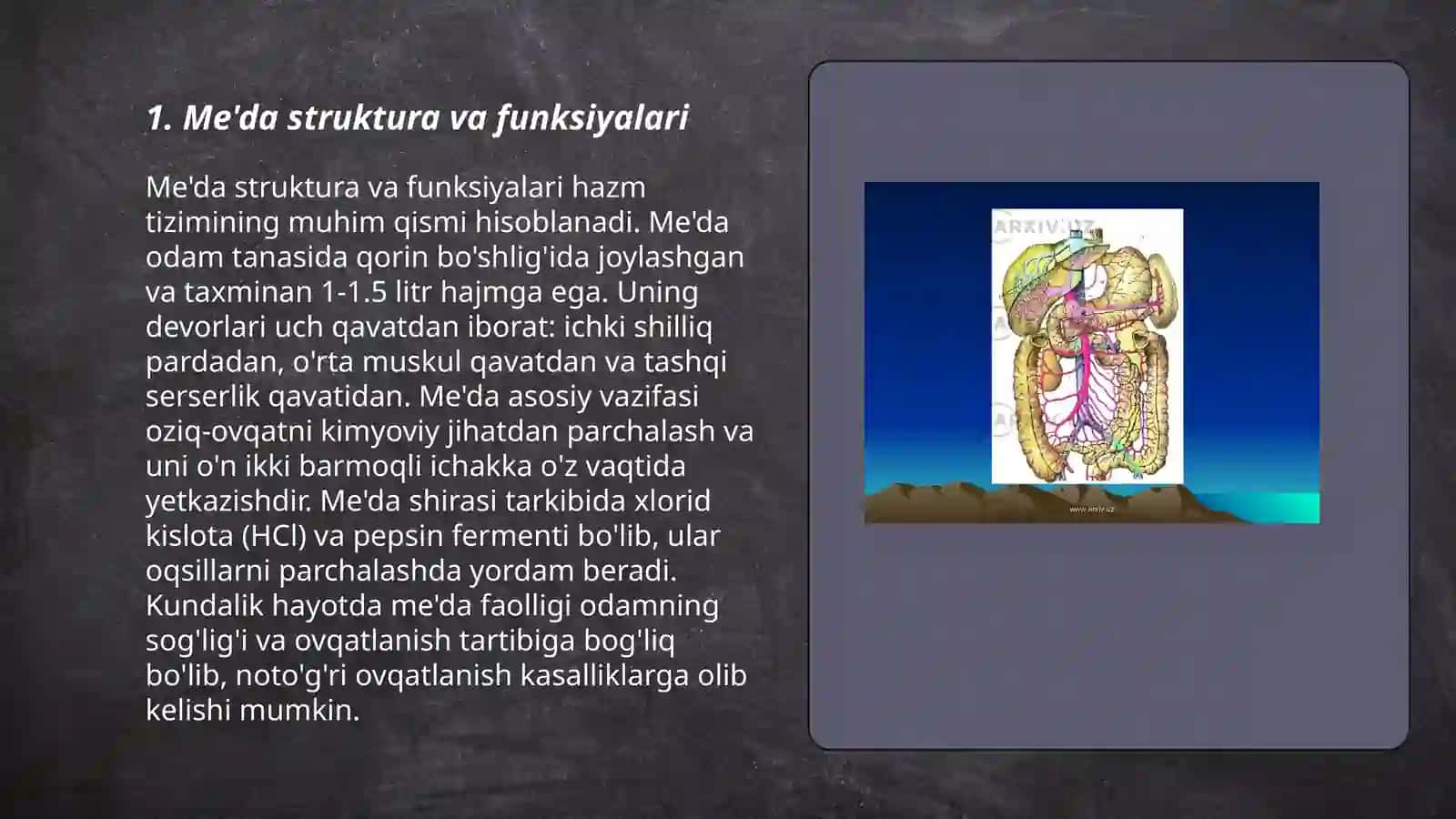 Me'da va me'da osti bezi fiziologiyasi 3