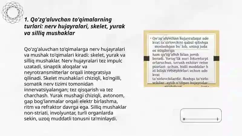 Qo'zg'aluvchan to'qimalar fizialogiyasi 3
