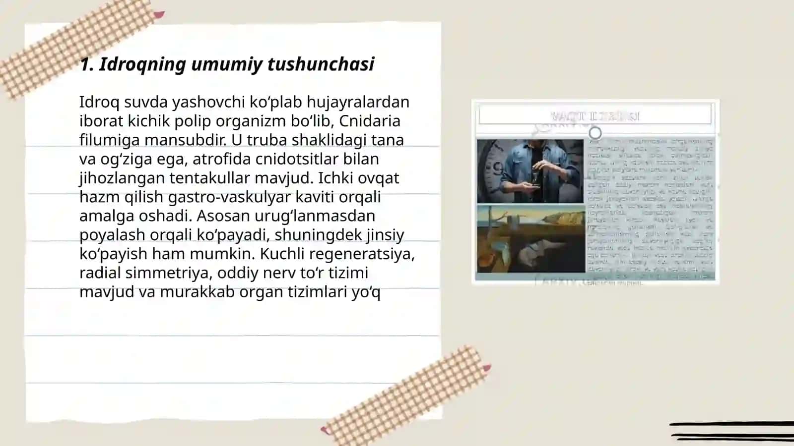Idroq haqida tushuncha va uning xususiyatlari 3