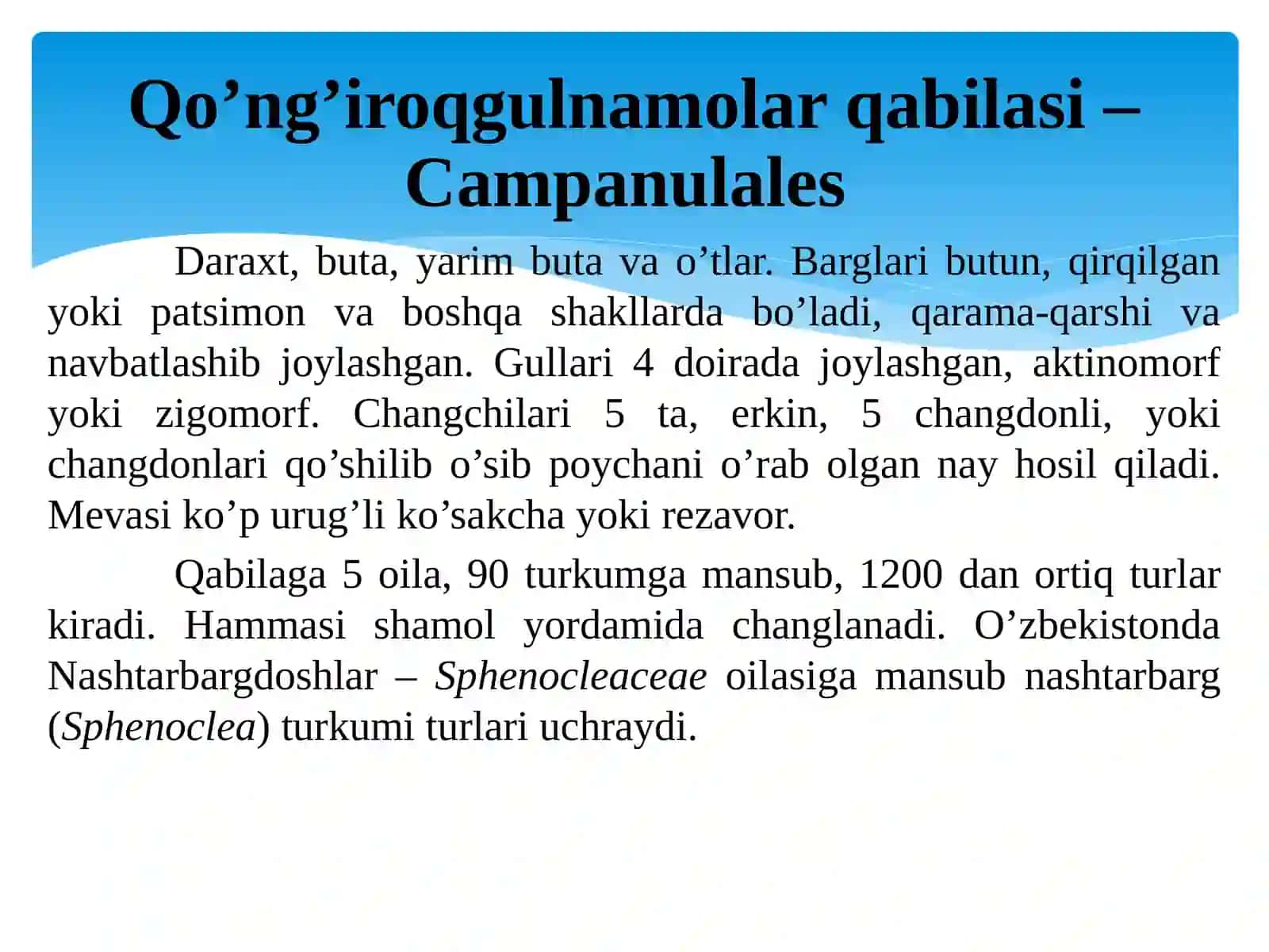 Qoqio’tkabilar kichik ajdodi – Asteridae 3