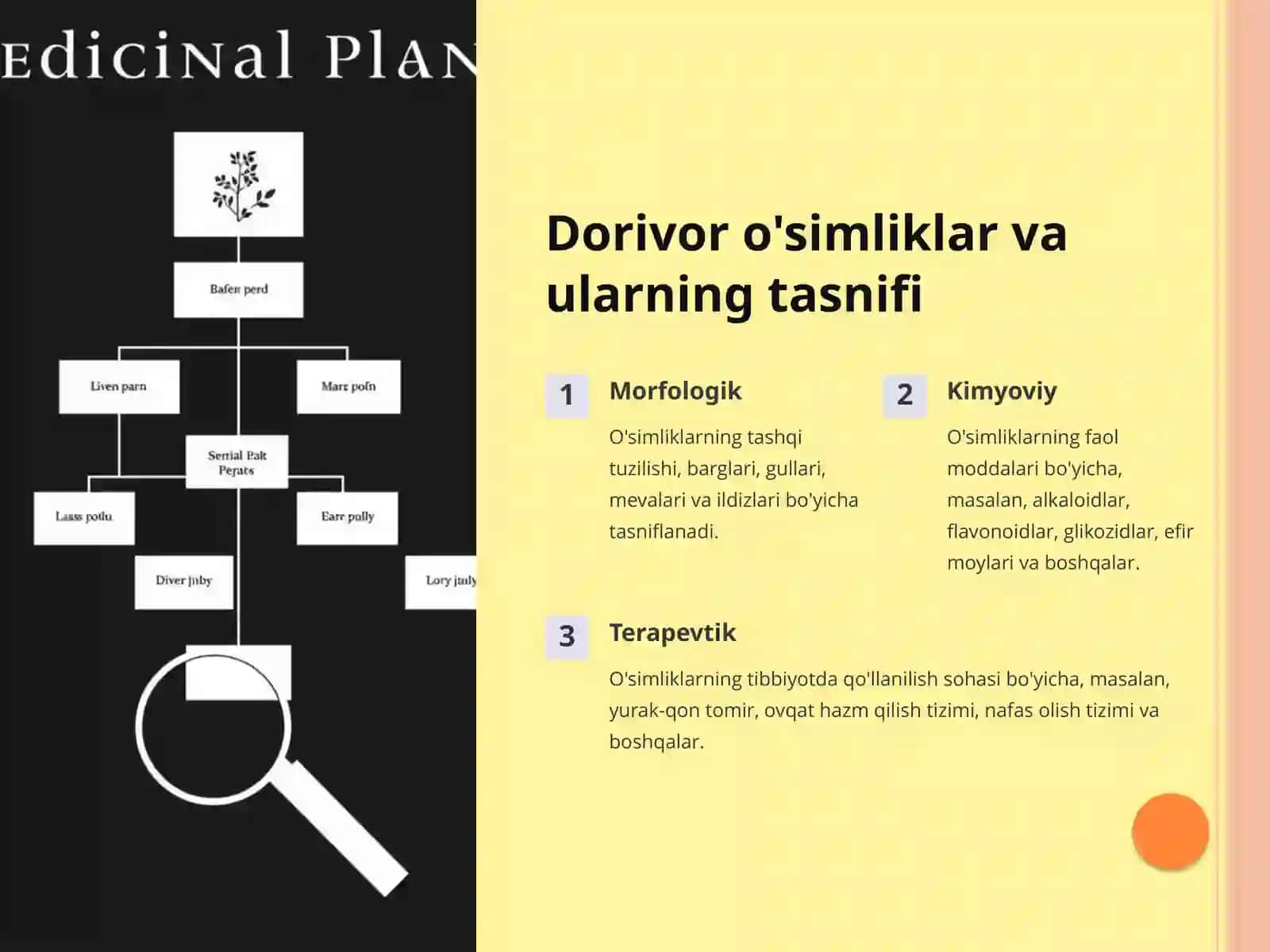 Farmakognoziya asoslari 3