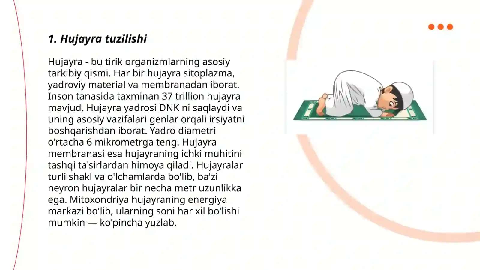 Labdi tuzilishi, gistologiyasi, fiziologiyasi, rak oldi kassaliklari 3
