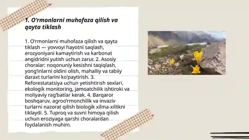 Oʻrmonlarni muhofaza qilish va qayta tiklash 3