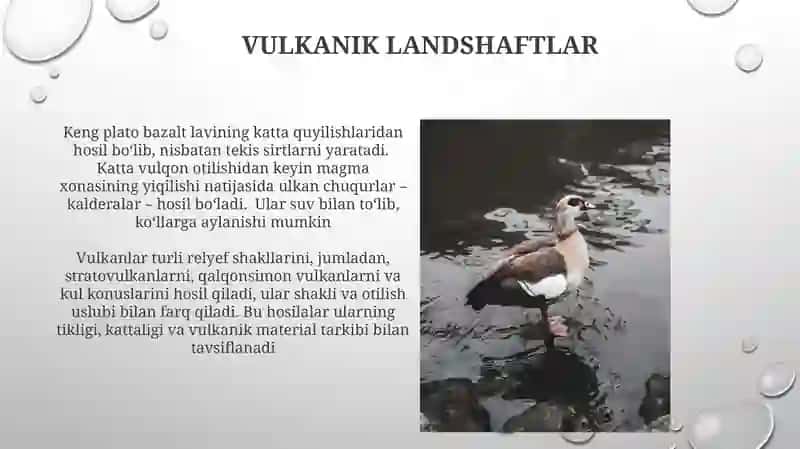 Vulkanik landshaftlar 3