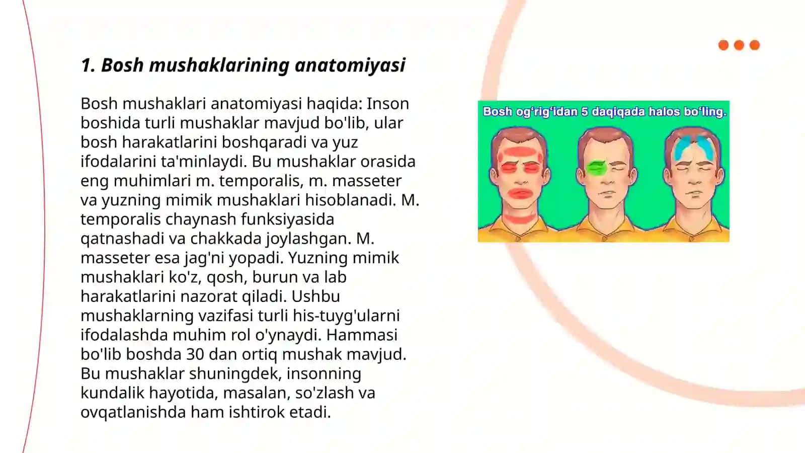 Bosh mushaklari.Chaynov va mimika mushaklari 3