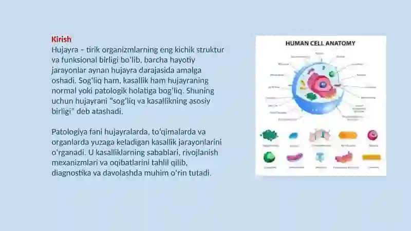 Hujayra sog'liq va kasallikning struktur birligi. Patologiyaga kirish 3
