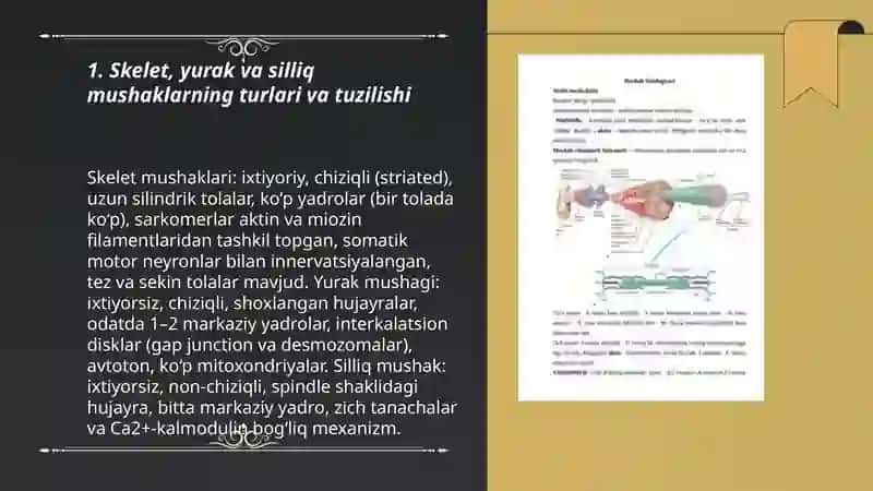 Mushak tizimi Mushak fiziologiyasi 3