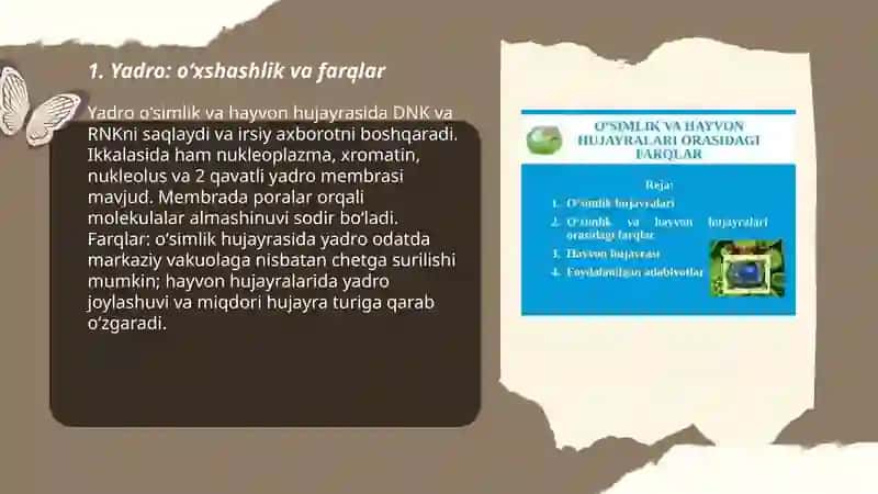 Oʻsimlik va hayvon hujayrasidagi oʻxshashlik va farqlar 3