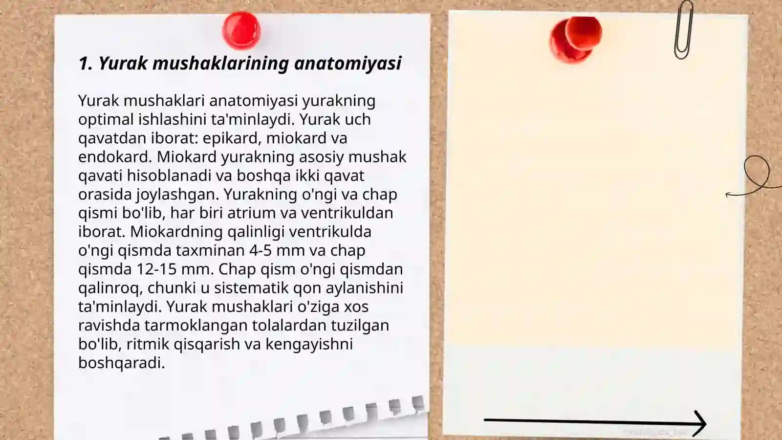 Qon aylanishi. Yurak muskullari fiziologiyasi 3