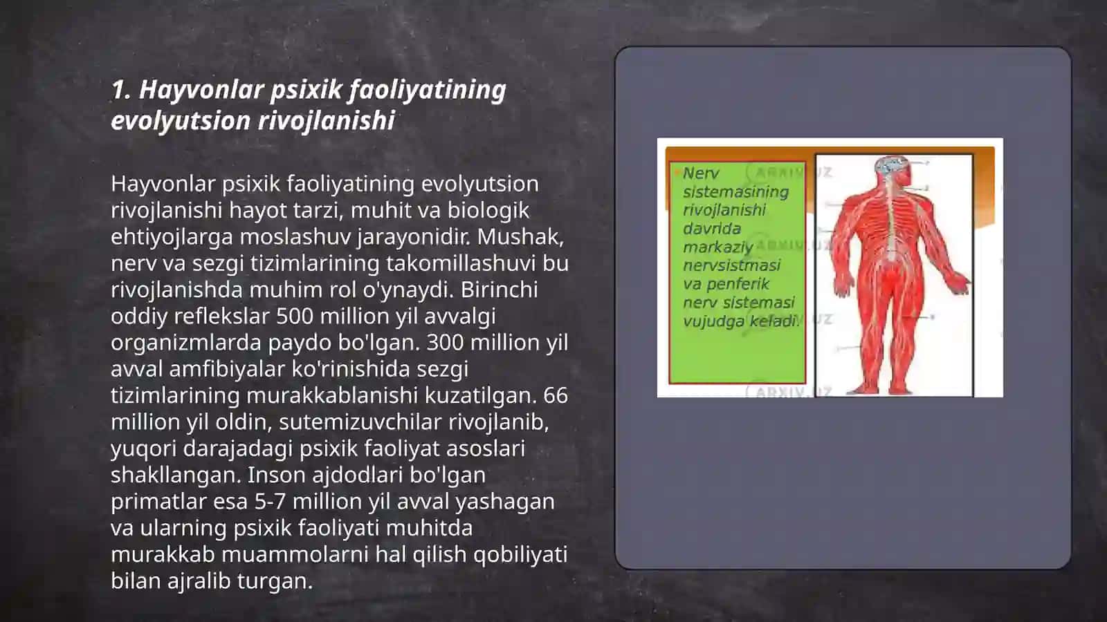 Hayvonlar psixik faoliyatining umumiy tavsifi 3
