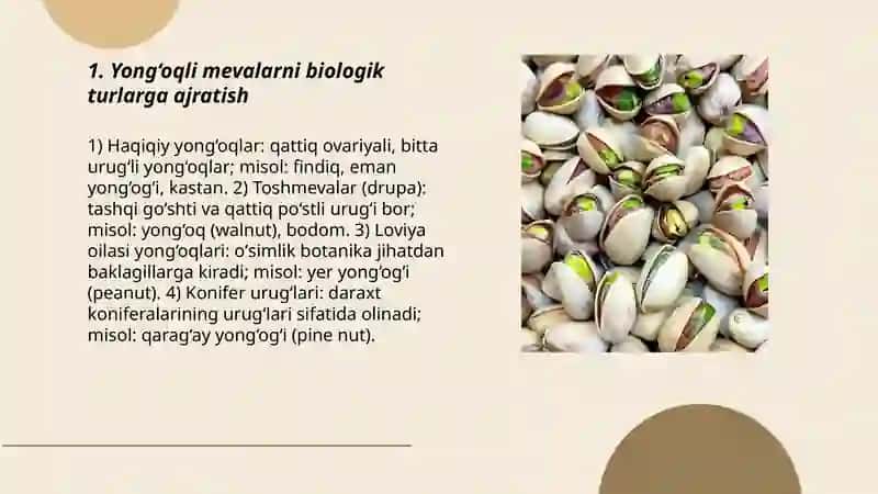 Yong‘oqli mevalar navlariga tasnif 3