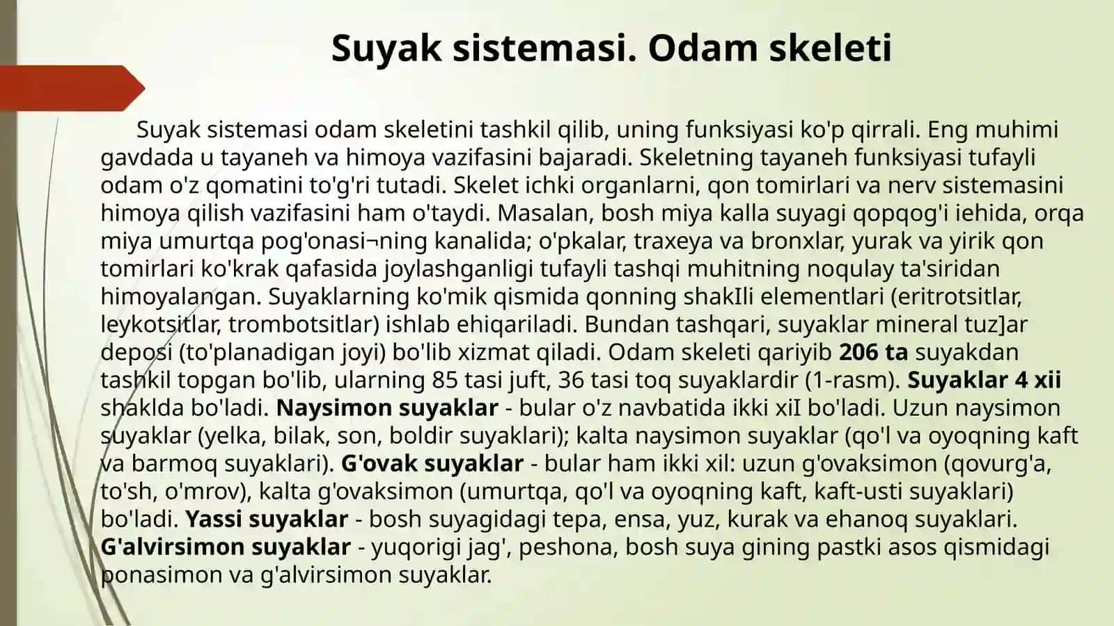 Skelet vauning boylamlari 3