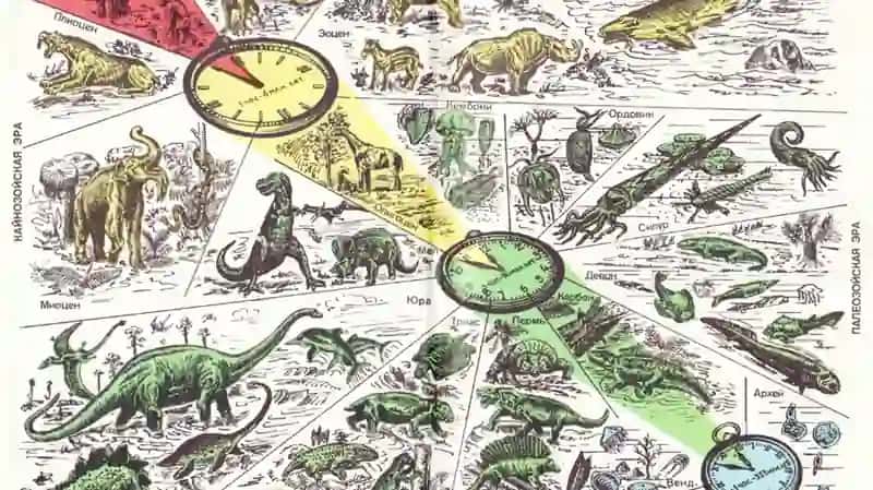 Geologik Tuzilishi va Yer Yuzasining Taraqqiyoti 3