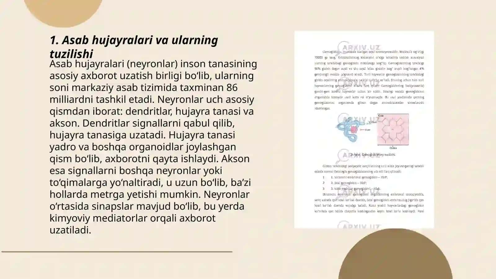 Asab tizimi fiziologiyasi 3