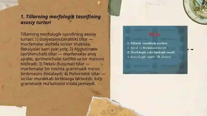 Tillarning morfologik tasnifi 3