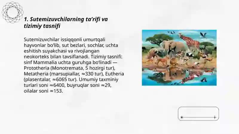 Sutemizuvchilarning ekologiyasi, kelib chiqishi va evolutsiyasi - To'xtasinova Intizor 3