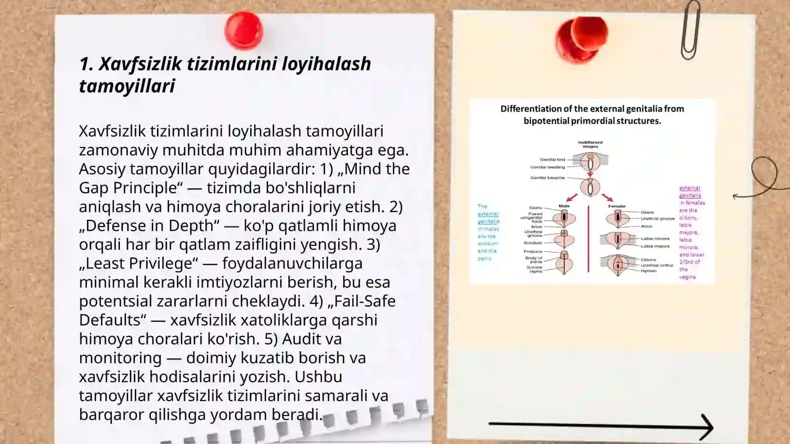 Xavfsizlikni taminlash tamoyillari va uslublarini tahlil qilish 3
