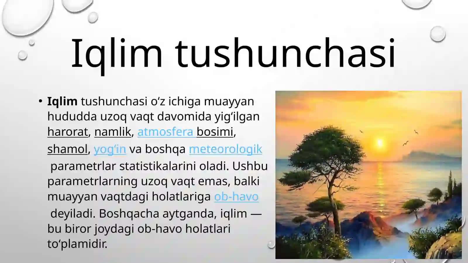 Iqlim omillari: yorug'lik, harorat, havo va suvga nisbatan o'simliklarning tiplari 3