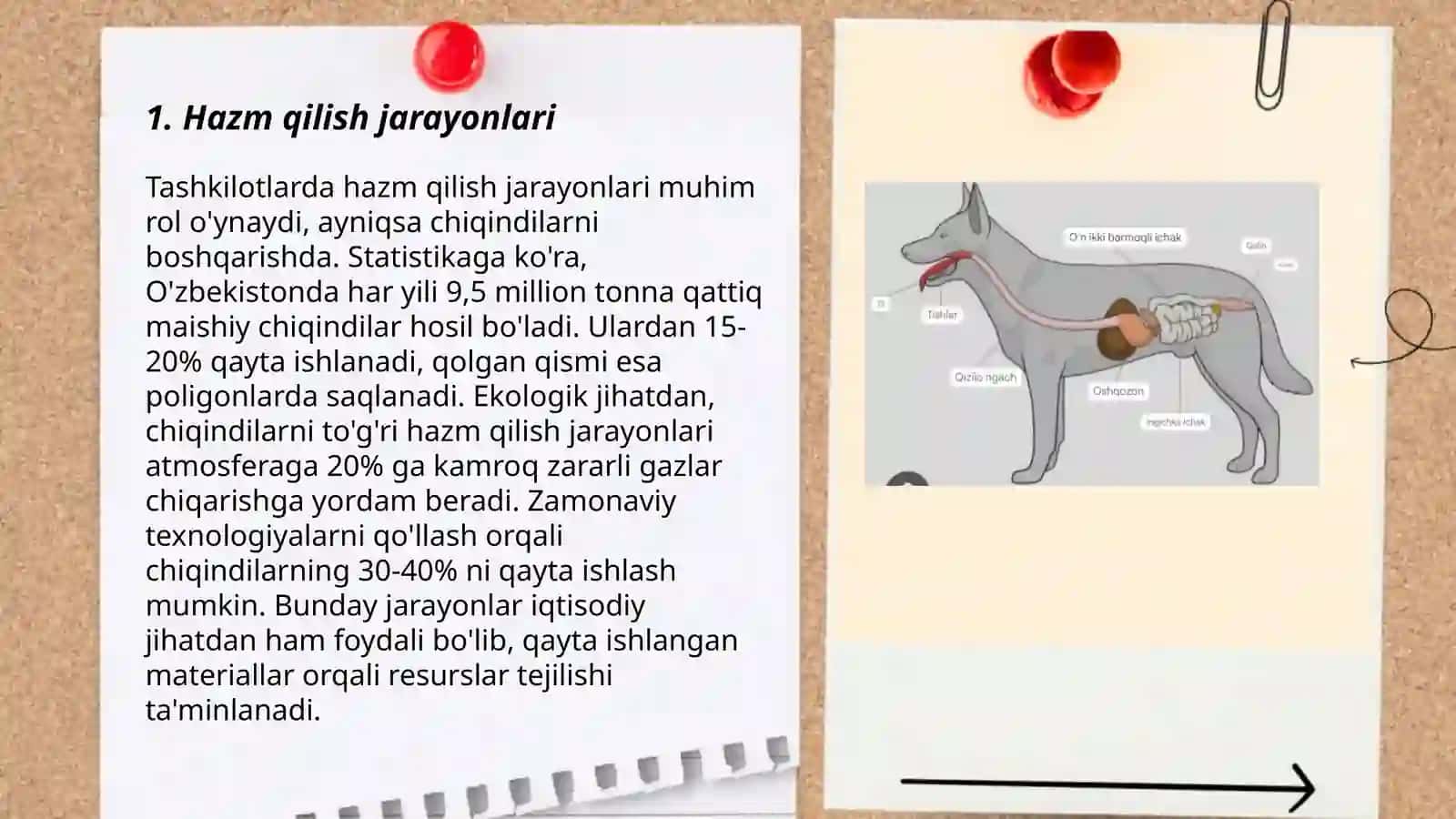 Hazm qilishning turlari va hazm qilish sistemasining fermentlari 3