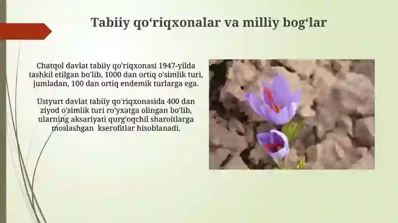O’zbekistonning o‘simlik dunyosi va ularni muhofaza qilish 3