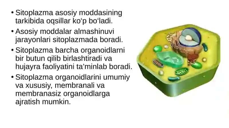 Biologiya 9 sinf 3