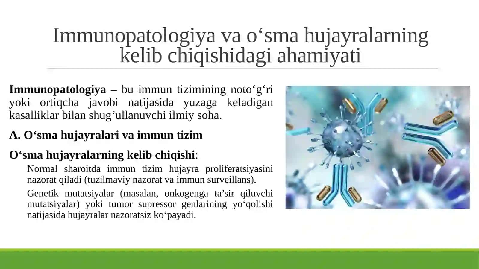 IMMUNOPATOLOGIYA, O‘SMA HUJAYRALARNI KELIB CHIQISHIDAGI AHAMIYATI. IMMUNTANQISLIKLARDA OPPORTUNISTIK INFEKSIYALAR BOSHQARILISHINING MOLEKULYAR MEXANIZMI. 3