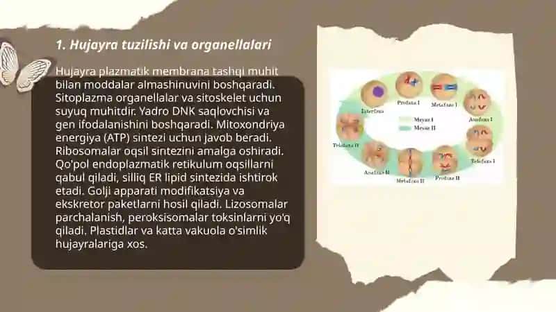 Hujayra biologiyasi 3